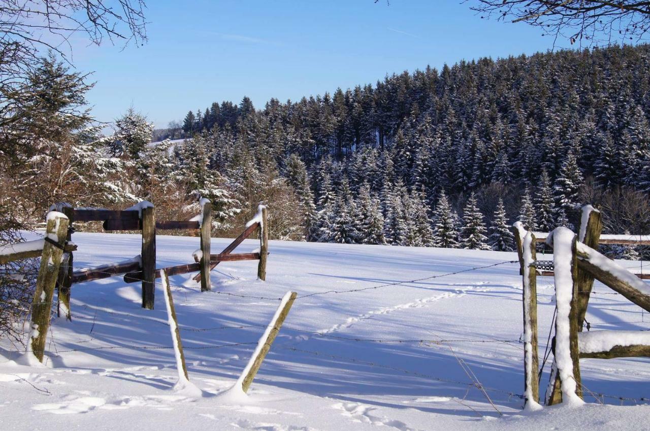 Chalet "A L Oree Du Bois" Bullange Ngoại thất bức ảnh